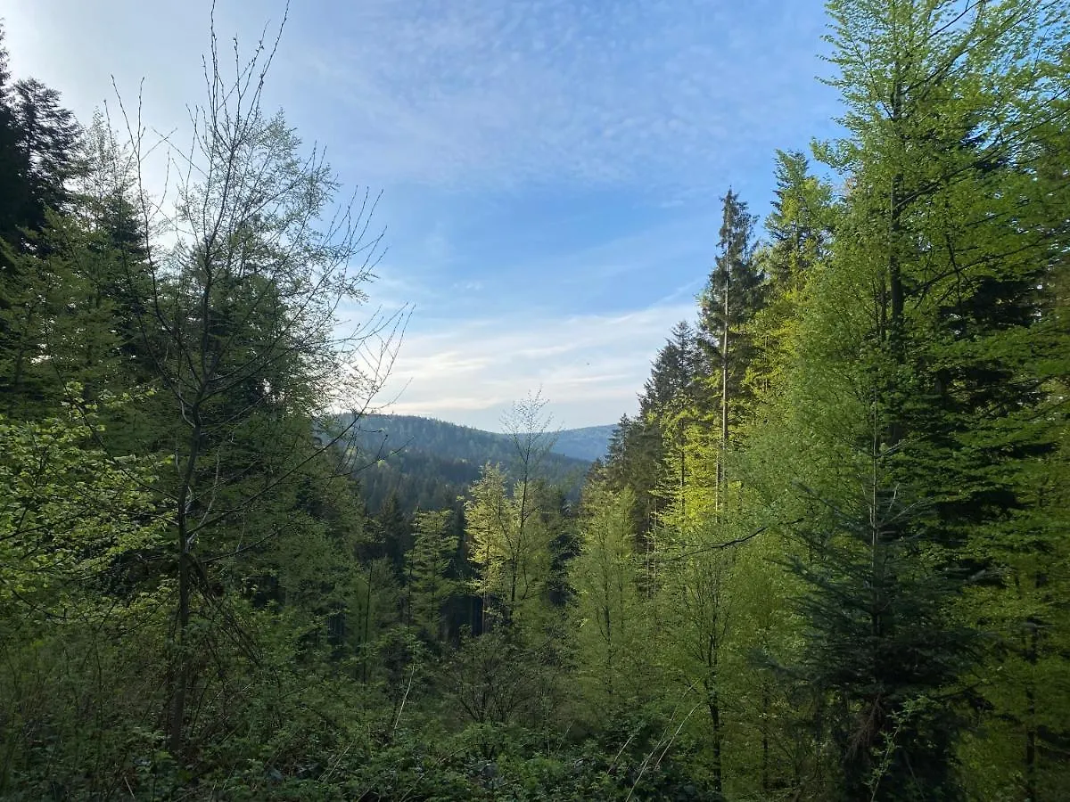 Holiday home Das Hexenhaus: Haus Im Wald Rinchnach