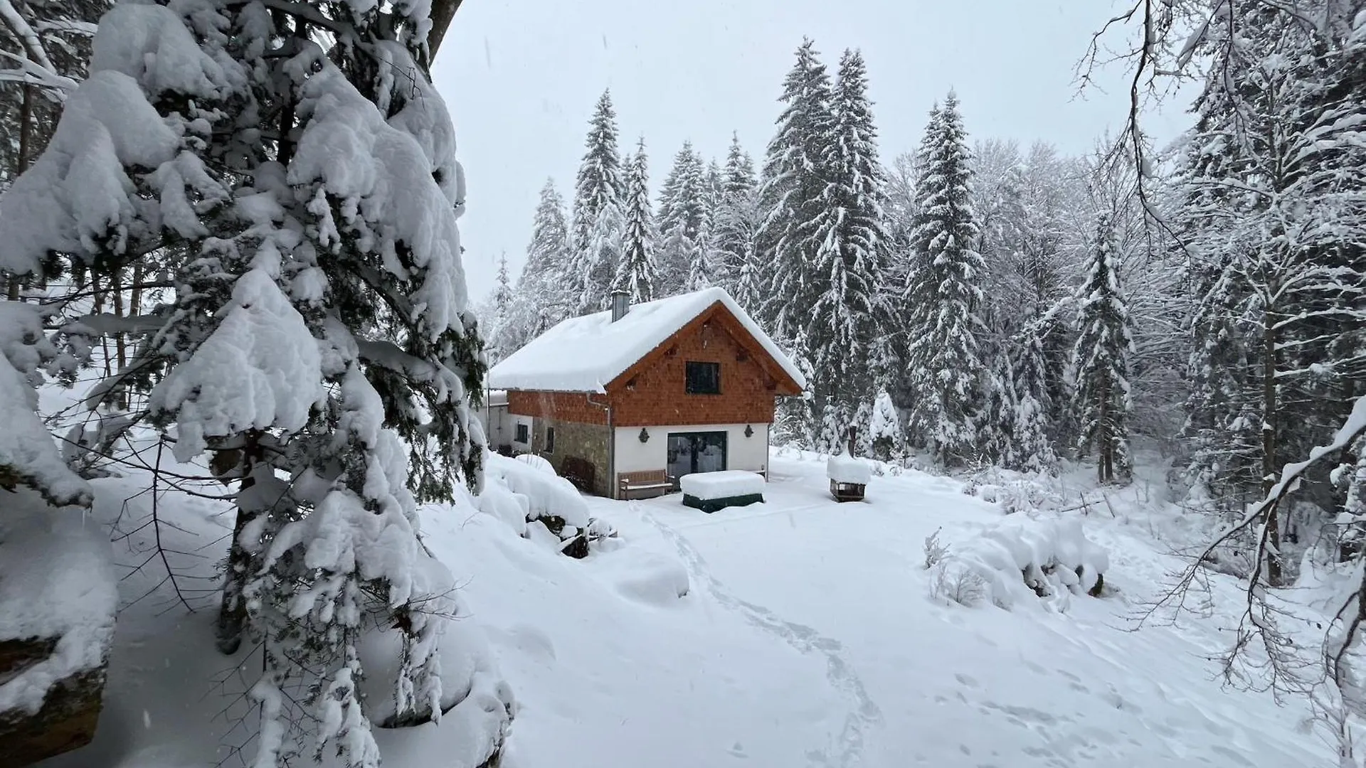 Das Hexenhaus: Haus Im Wald Rinchnach Germany